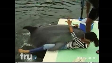 dolphin humping girl|Hilarious Video of a Dolphin Humping a Female Tourist in Cuba。